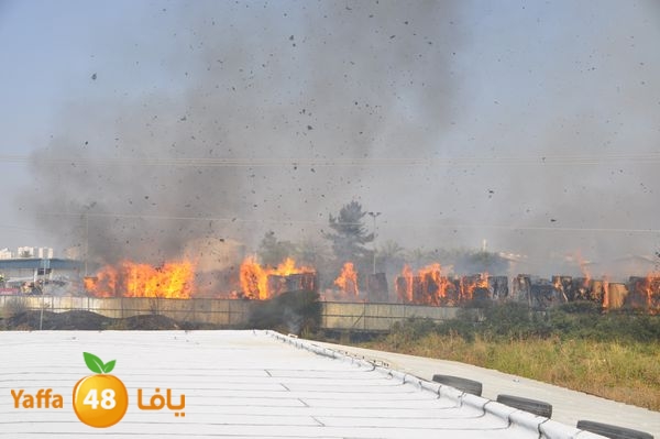 firecartoonsecnd506 (17).JPG